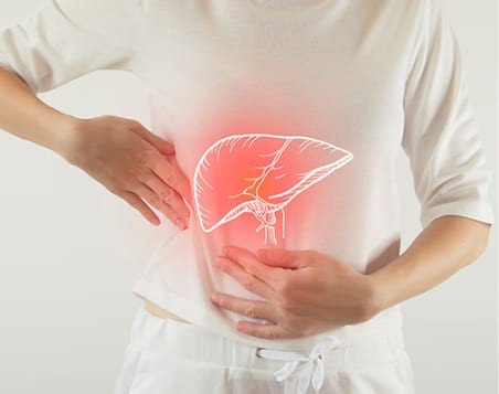 Liver