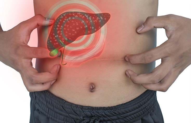 Liver